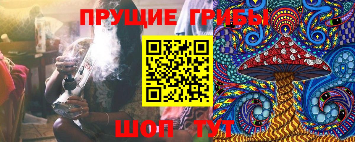 Галлюциногенные грибы GOLDEN TEACHER  Вход с VPN  Псилоцибиновые грибы Magic Shrooms  Фрязино 